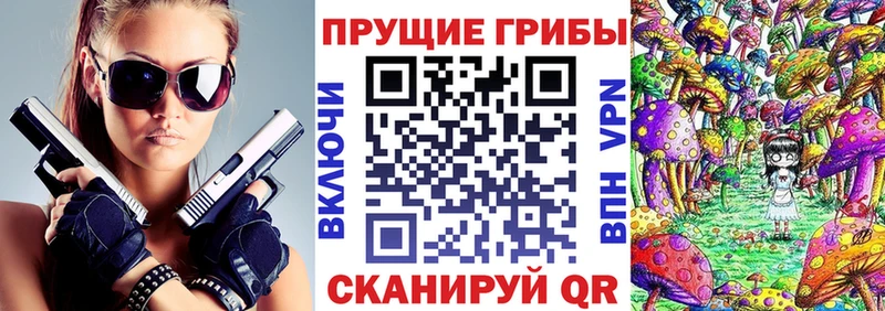 Псилоцибиновые грибы Psilocybe  Гремячинск 